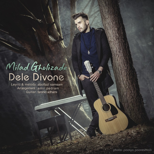 دانلود آهنگ دل دیوونه